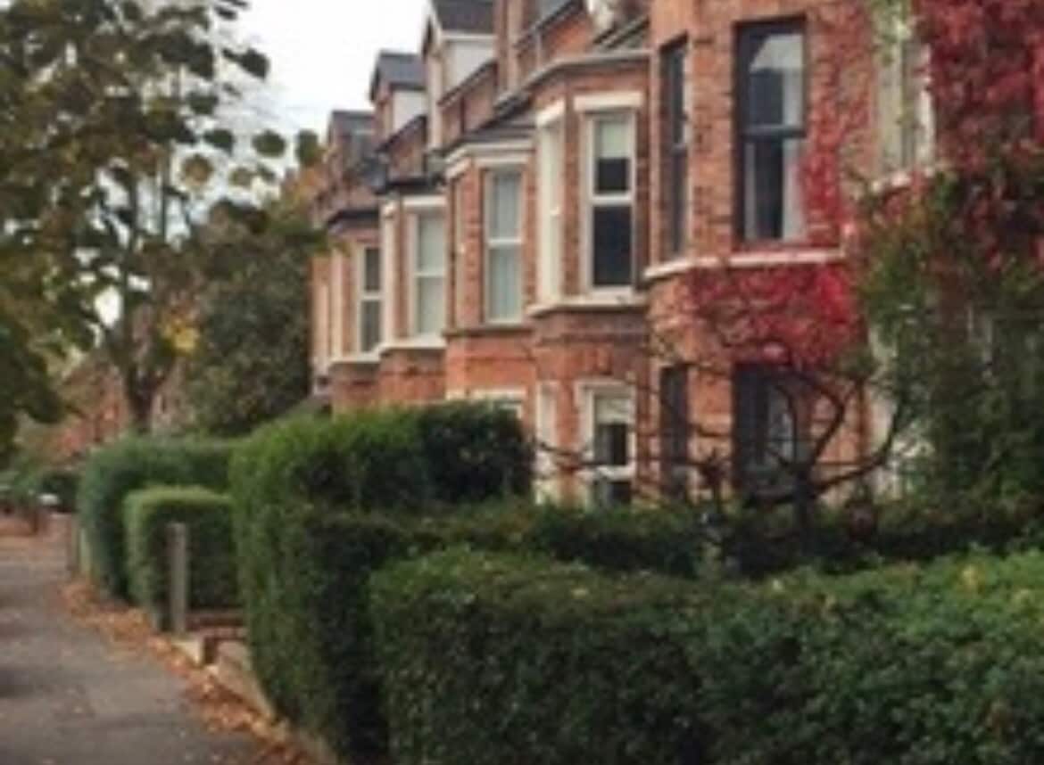 A row of traditional Belfast brick terraced houses is visible along a tree-lined street. Lush green hedges run along the front, creating a natural boundary with decorative foliage surrounding the homes. Autumn leaves are visible on some trees, hinting at the seasonal transition.