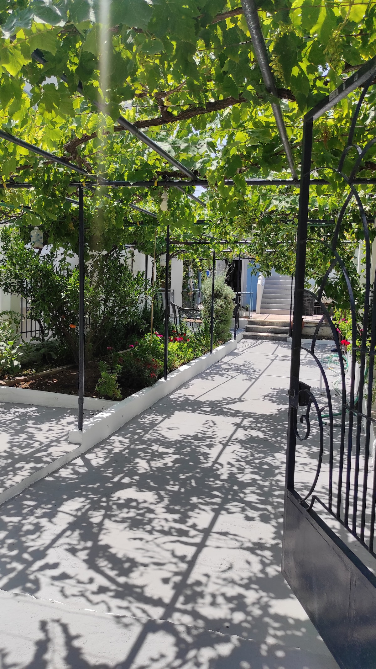 A shaded walkway is framed by green vines and vibrant flowering plants. The concrete path, lined with garden greenery, creates a welcoming atmosphere. Shadows play across the surface, adding depth to the tranquil setting that leads toward a cozy seating area at the end.
