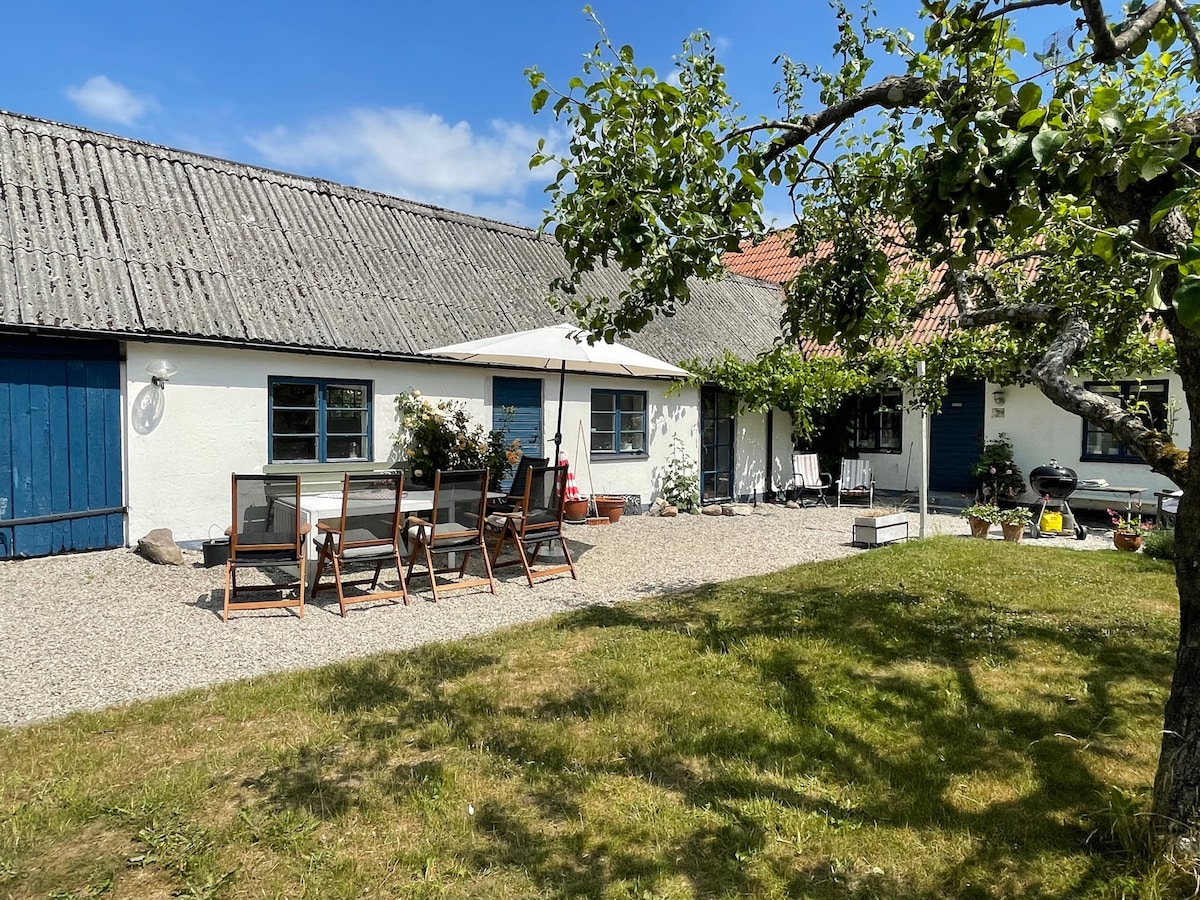 A charming outdoor space is featured, showcasing a gravel area with wooden lounge chairs arranged around a table. A sunshade provides shelter, while greenery frames the scene, with the building's white exterior and blue accents visible in the background.