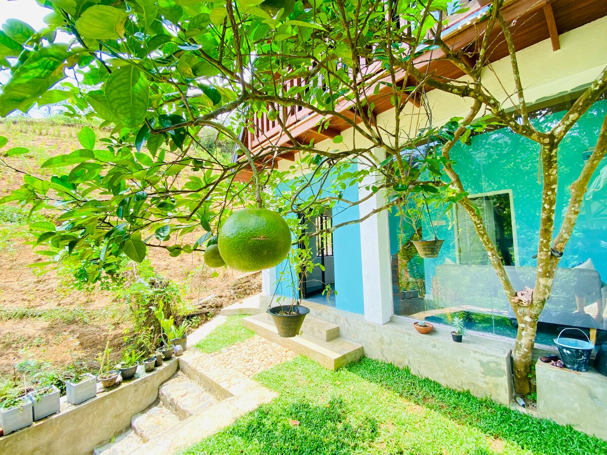 A cabin house is framed by lush green foliage, featuring a tree with large fruits. The outdoor area displays steps leading to a well-maintained garden, with potted plants arranged along the pathway and serene natural landscaping visible in the background.