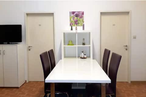 Miner's home inside heart of Leoben/free parking