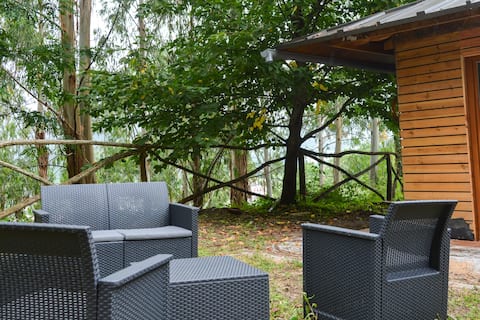 Amazing Family Bungalow