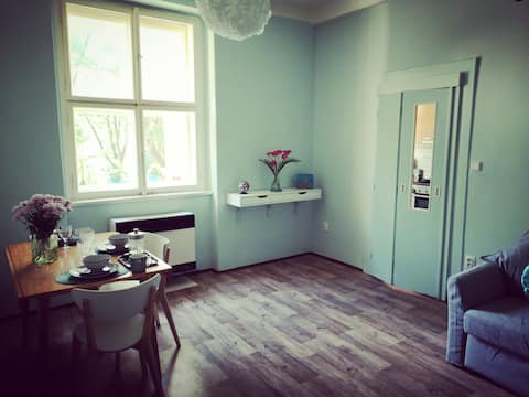 Popular Airbnb listing: Charm Flat in Letna 10 min from Downtown in Praha 7