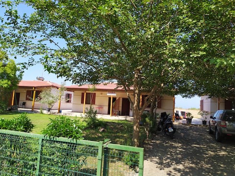 Villa7 Divjake