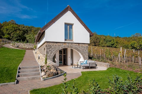 Apartment with Balaton panorama in the vineyard