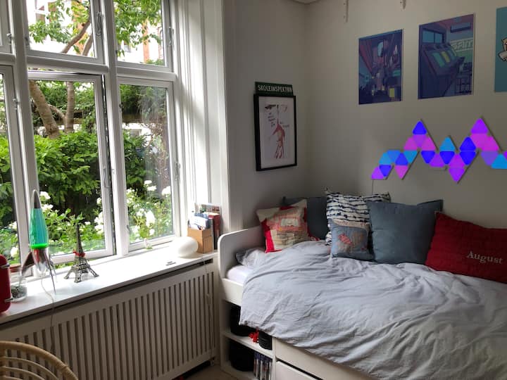 卧室配备单人床和42英寸电视，配备Chromecast。