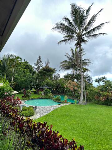 Holualoa Hideaway 15+ guests with guest cottage gallery image 4