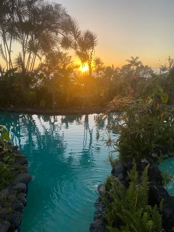 Holualoa Hideaway 15+ guests with guest cottage gallery image 2