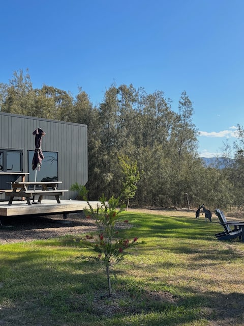 Tiny House in the Vines