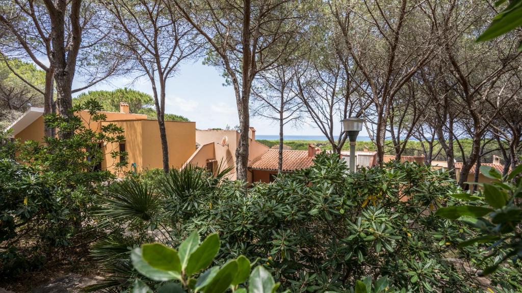 A view of the two-story home is framed by lush greenery and tall pine trees, with glimpses of the sea visible in the background. The charming architecture features warm colors, blending harmoniously with the natural surroundings.
