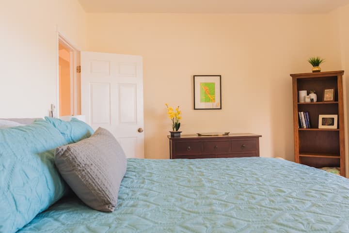 Chumba kikuu cha kulala. Chumba pekee katika nyumba iliyo na kitengo cha kiyoyozi. 