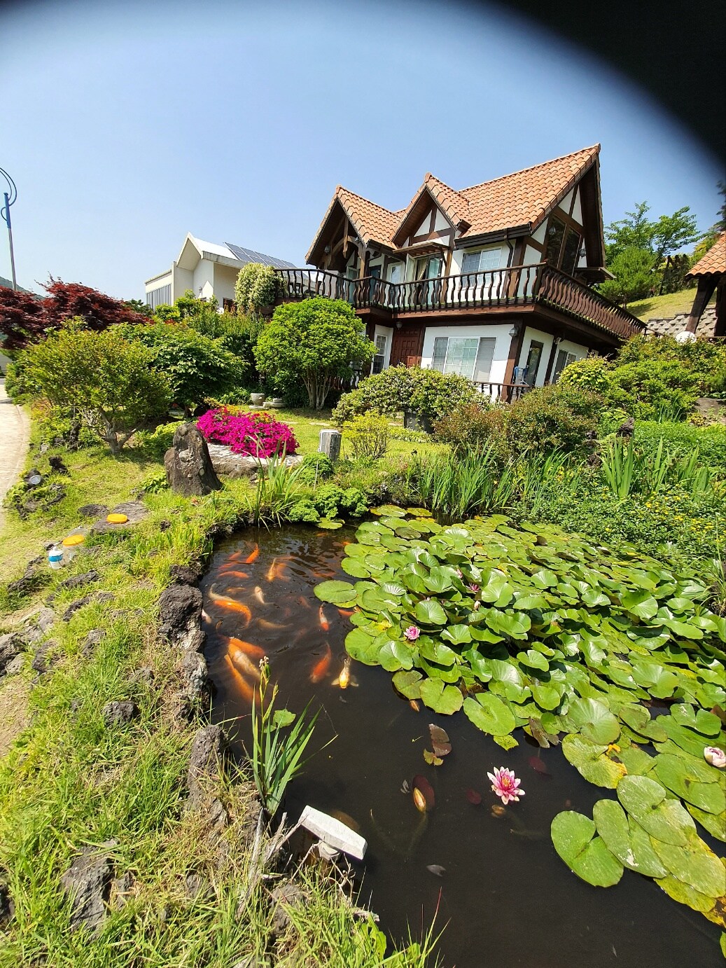 A charming wooden house is nestled among vibrant gardens featuring blooming flowers and lush greenery. A serene pond with koi fish and lily pads sits in the foreground, adding to the tranquil atmosphere of this peaceful retreat.