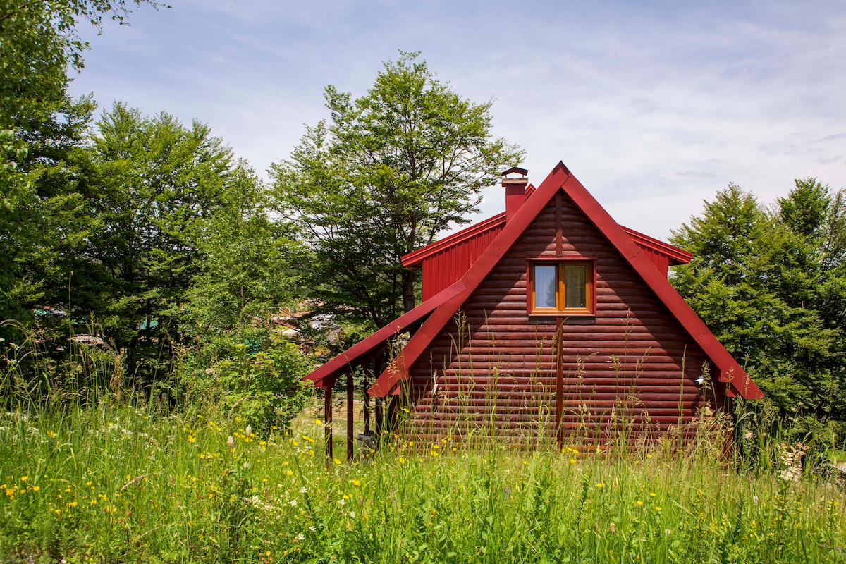 The exterior of a charming red log cabin is shown, surrounded by lush greenery and wildflowers. A peaked roof with a chimney adds character, while a window offers a glimpse into the cozy interior. The natural setting emphasizes the peacefulness of the location.