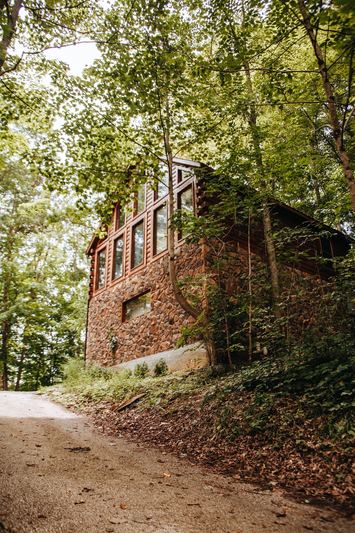 A cabin made of stone and wood is nestled among tall deciduous trees, providing a sense of seclusion. The exterior features large windows that allow natural light to fill the interior, and a gravel path leads up to the entrance.