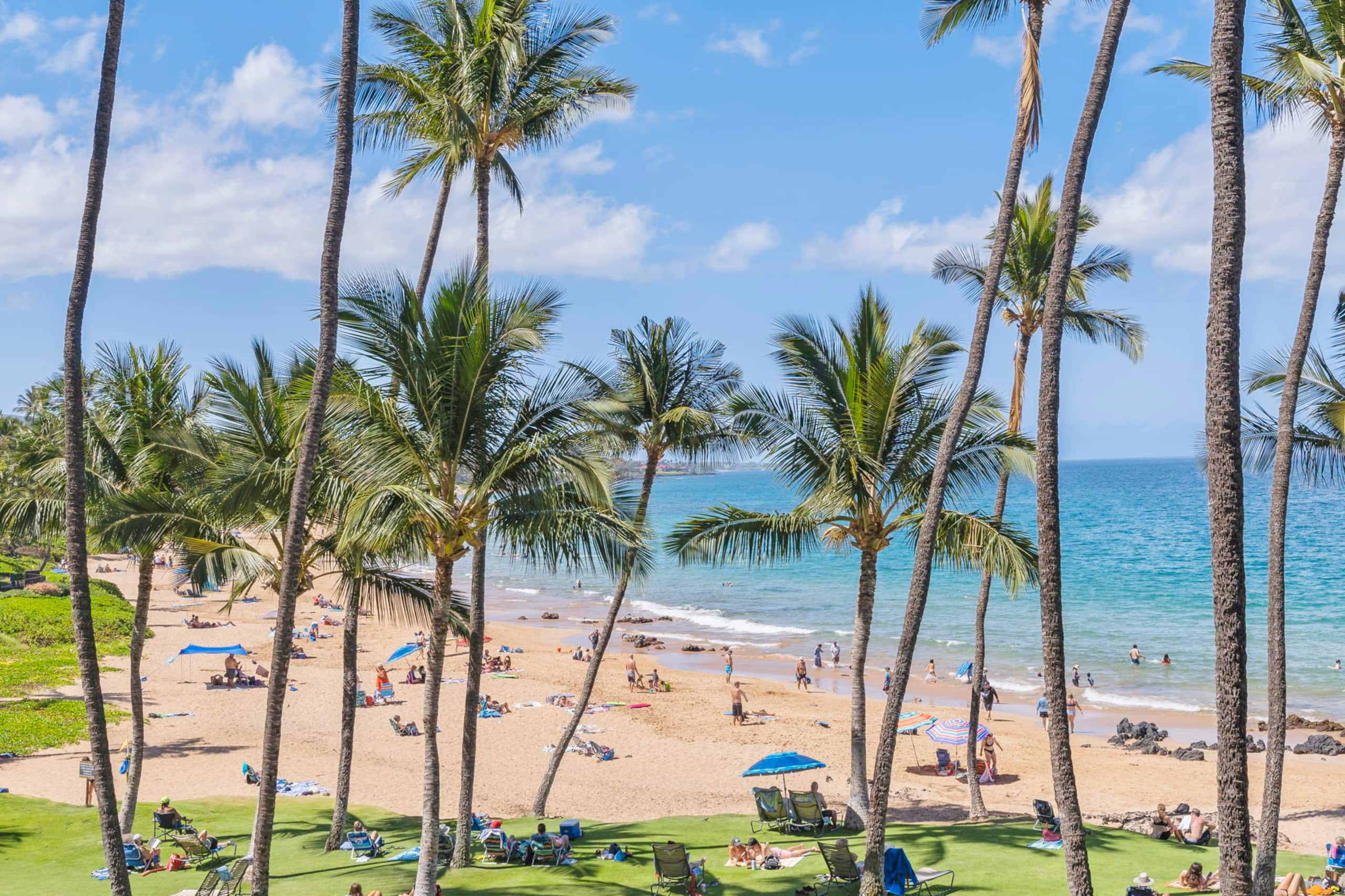 Oceanfront Dream 2Bed/2Bath-Mana Kai Maui Resort - Image 33