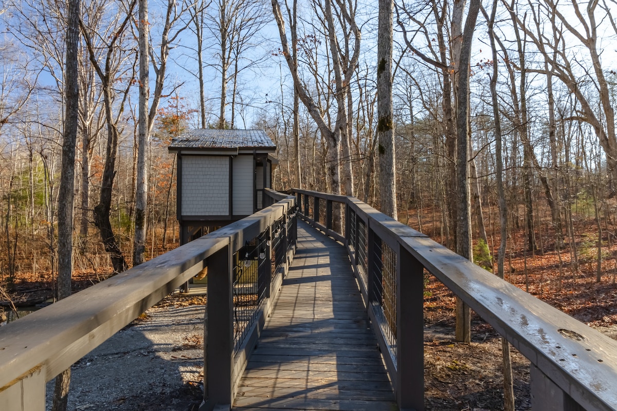A wooden bridge is seen leading toward a treehouse, surrounded by tall trees with thin branches. This pathway is elevated, providing a view of the forest floor blanketed in fallen leaves.
