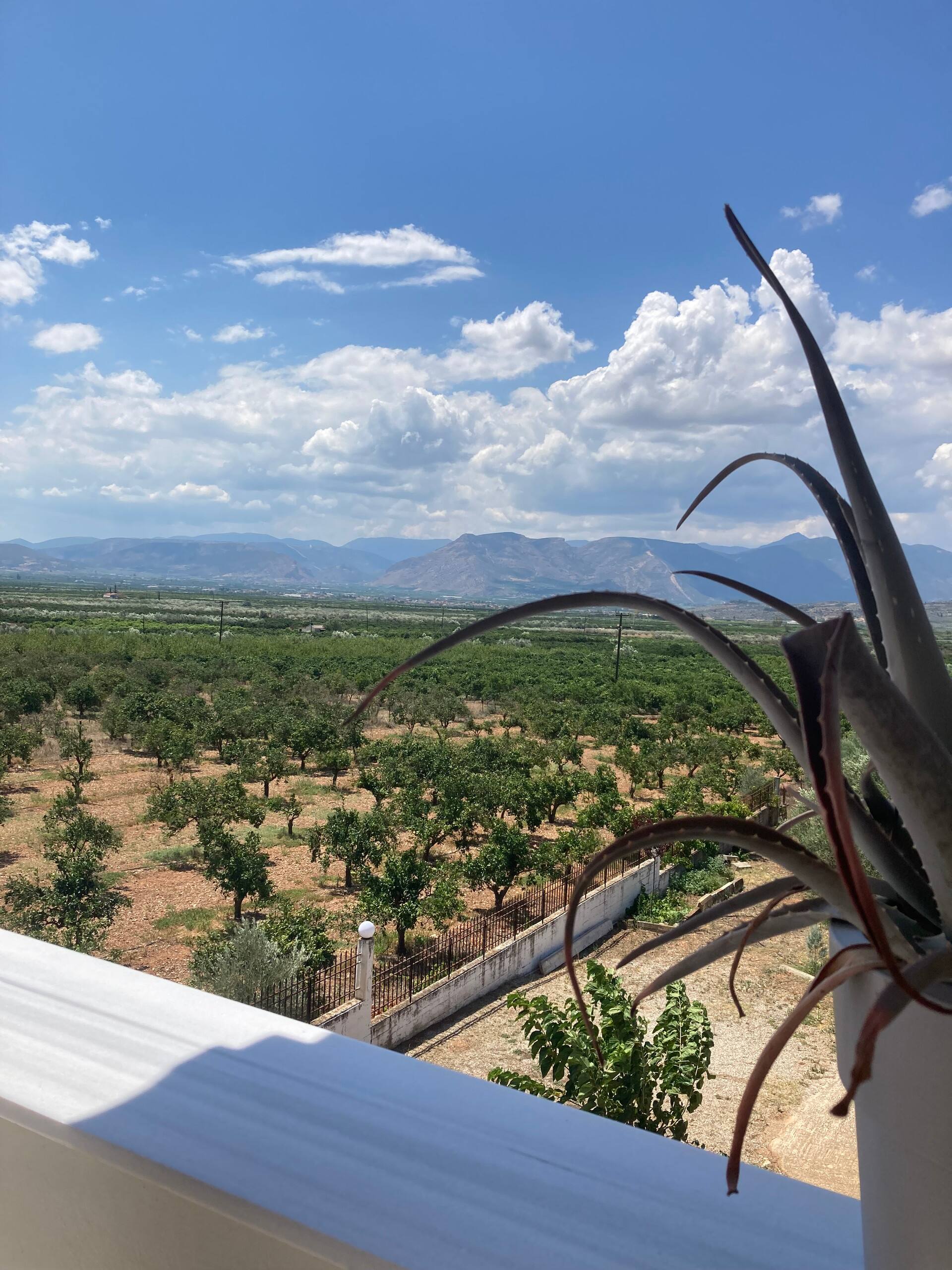 Enchanting Mycenae - Your Greek holiday retreat — photo 4