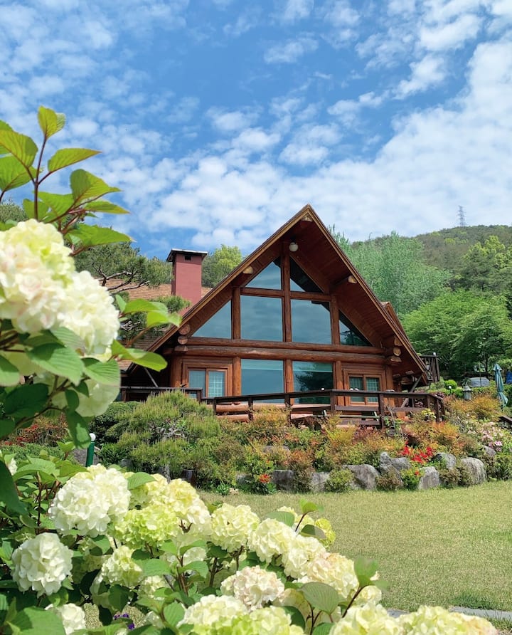 Stella's garden