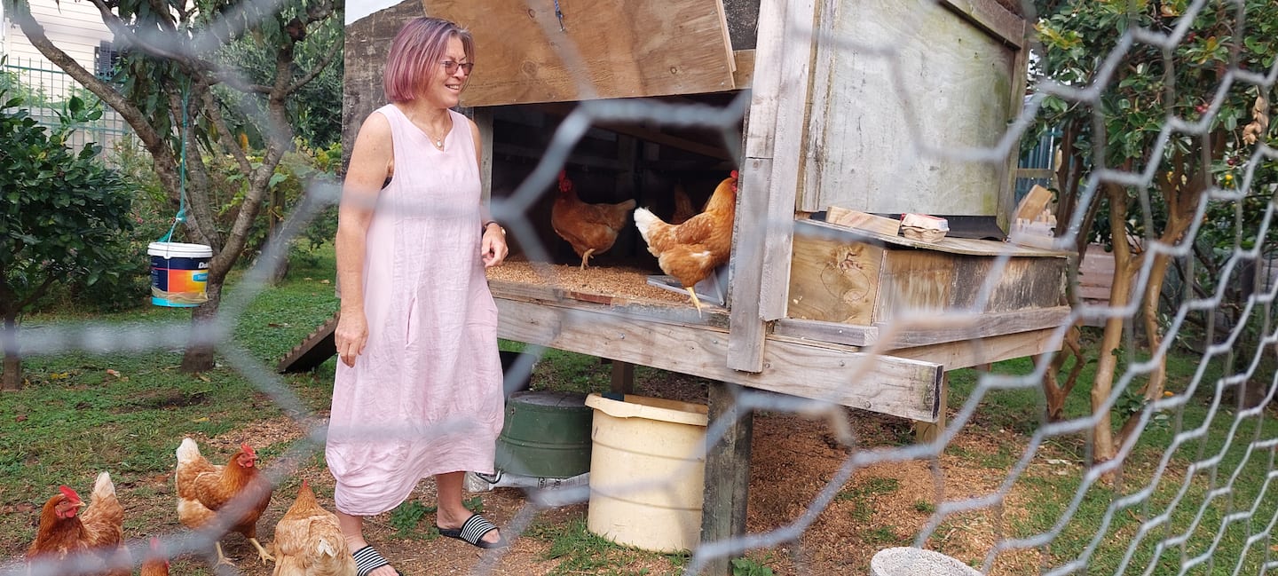 "Chase Your Chickens" Fresh Eggs & Coffee Daily 3