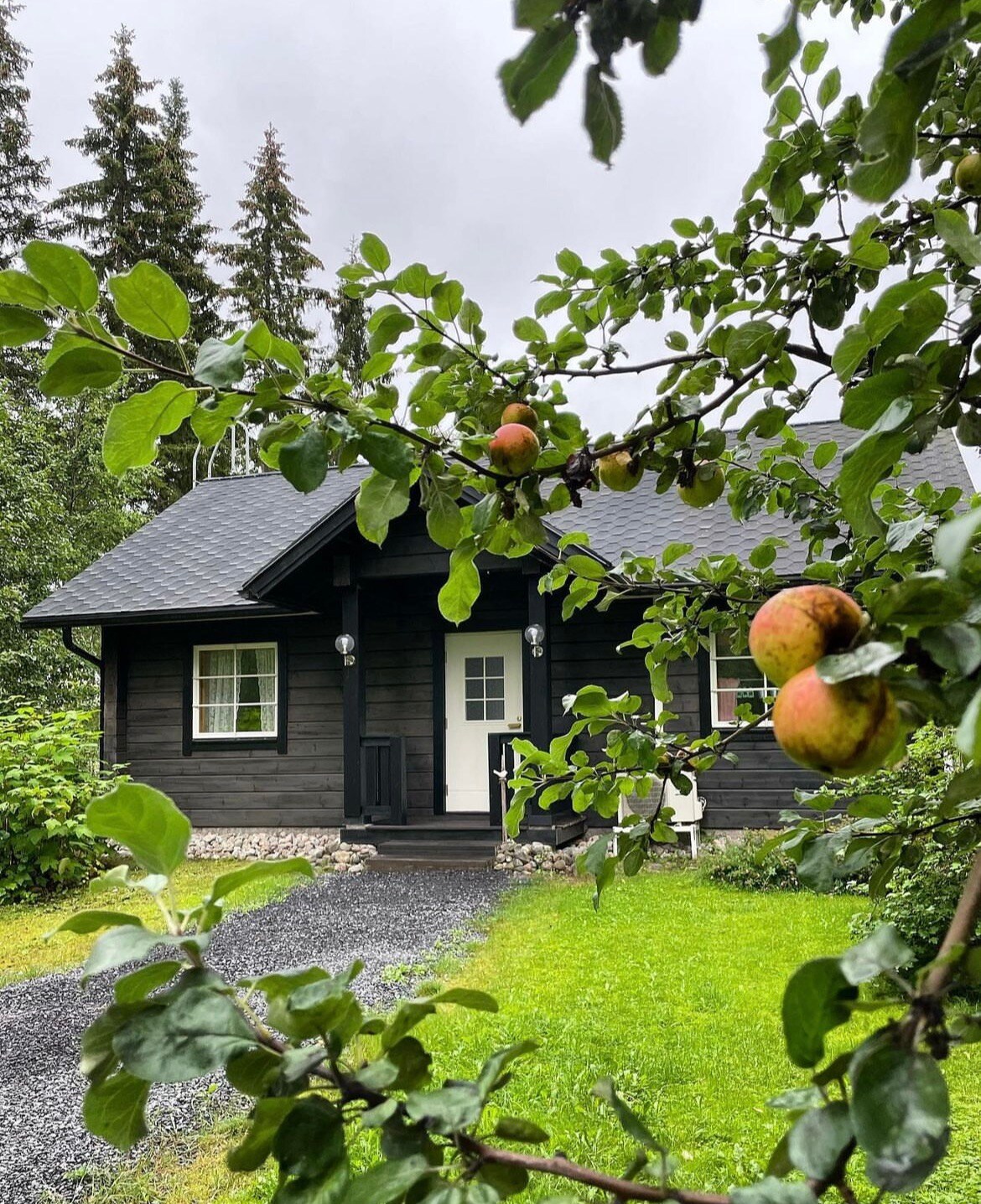 A charming black wooden cabin is framed by lush green foliage and apple trees. The front door, flanked by two windows, welcomes visitors. A grassy area leads to a pebbled path, blending naturally with the surrounding greenery.