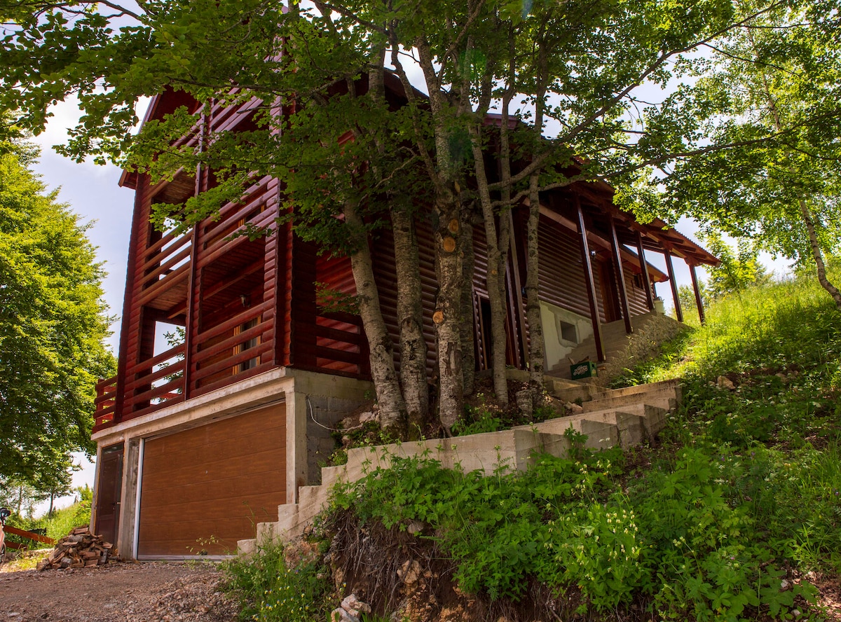 The exterior of the modern house is surrounded by lush greenery, showcasing a wooden facade and balcony. The structure is set on a slight incline, with a driveway leading to a garage at the base. Natural light enhances the inviting atmosphere.