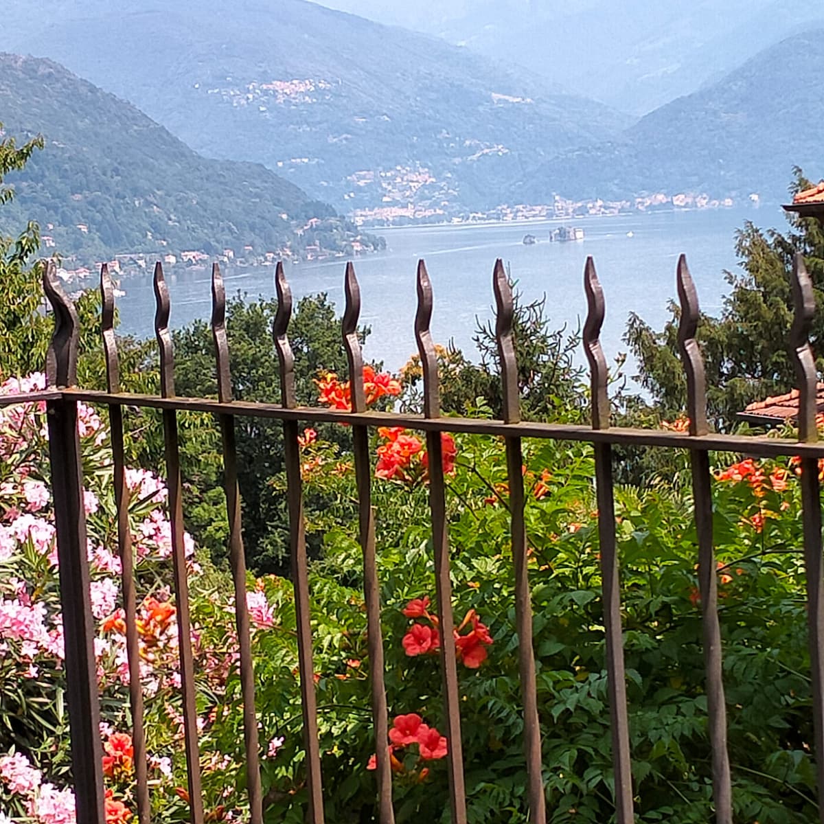 A scenic view of a serene lake surrounded by lush mountains is framed by a decorative metal fence. Vibrant flowers in shades of pink and orange bloom in the foreground, adding color to the tranquil landscape.