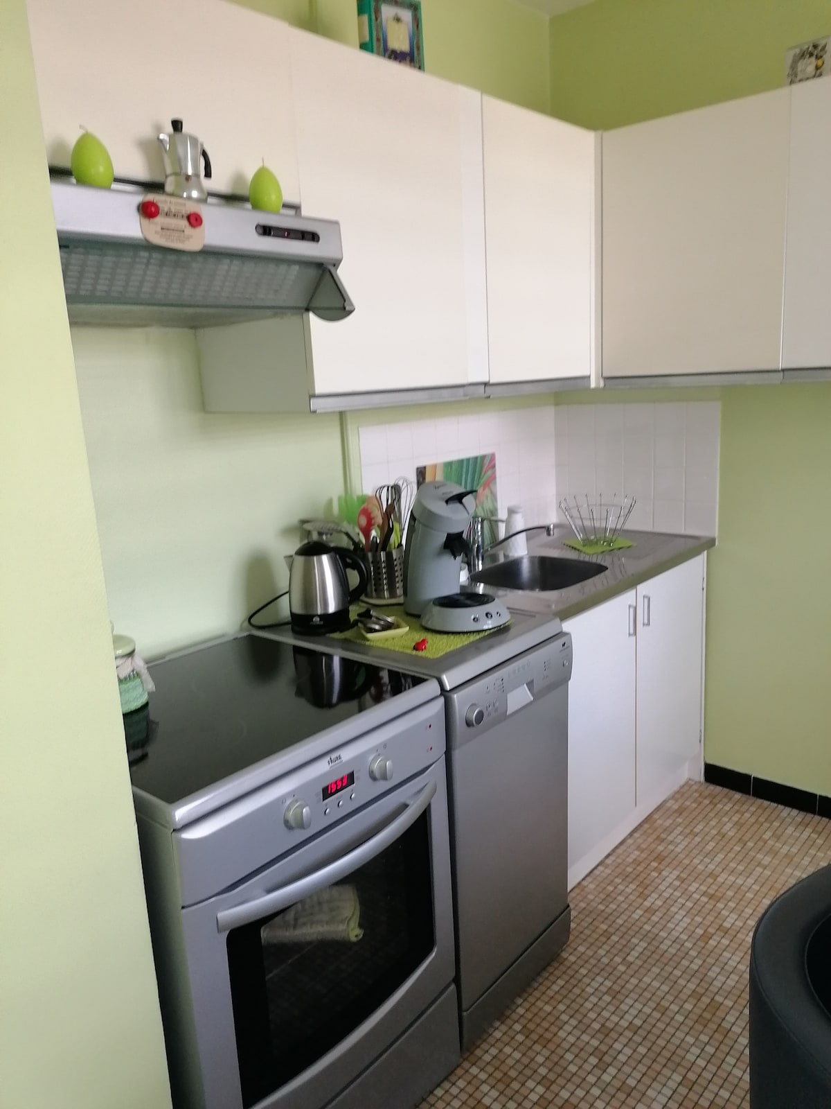 A compact kitchen features modern appliances, including a stove, dishwasher, and kettle. Cabinets hold kitchen utensils and dishware, while a sink is positioned beneath a window. Light green walls create a fresh ambiance, complemented by cheerful decorative accents.