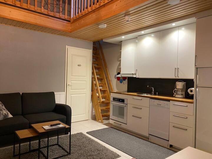 Studio with balcony in the center of Levi Apartments for Rent in