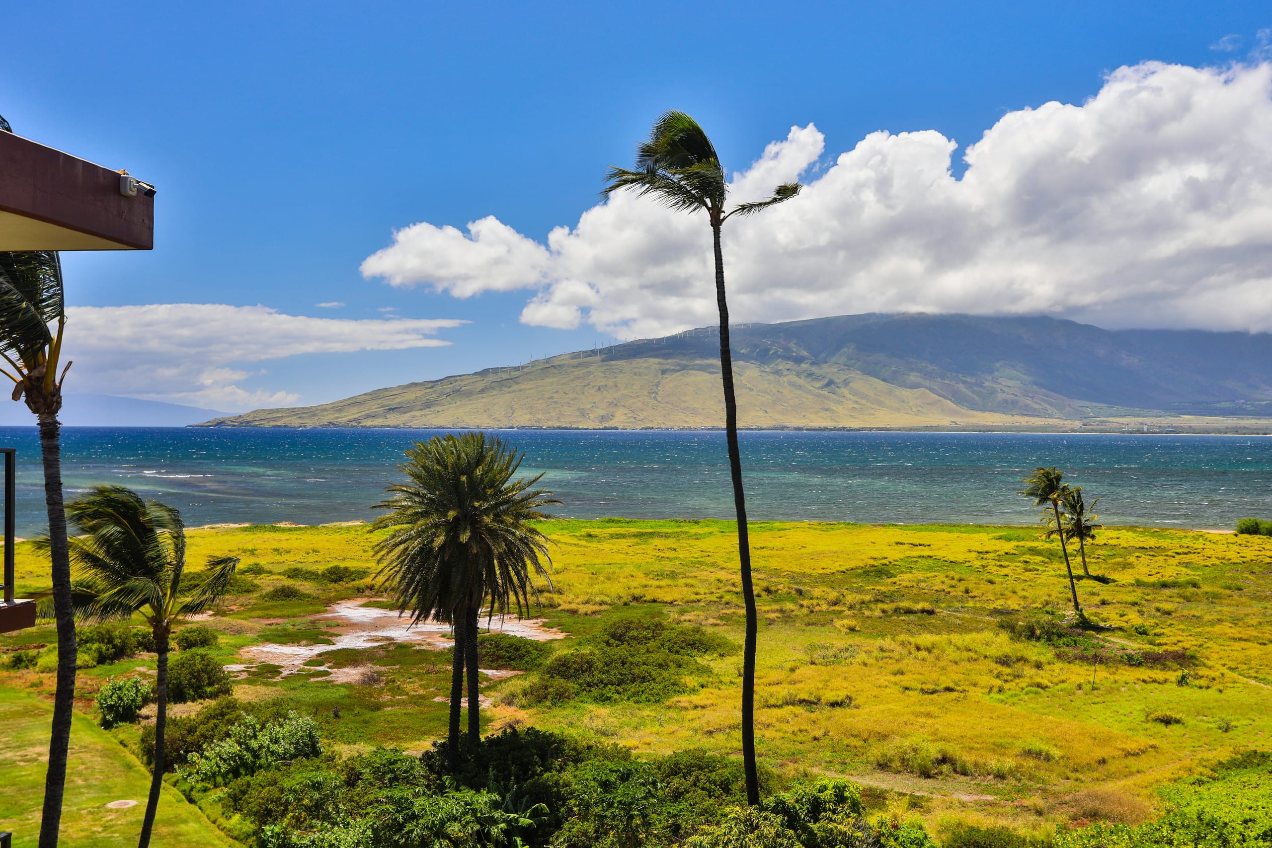 Condo in Kihei · ★4.94 · 1 bedroom · 2 beds · 1 shared bath - Image 32