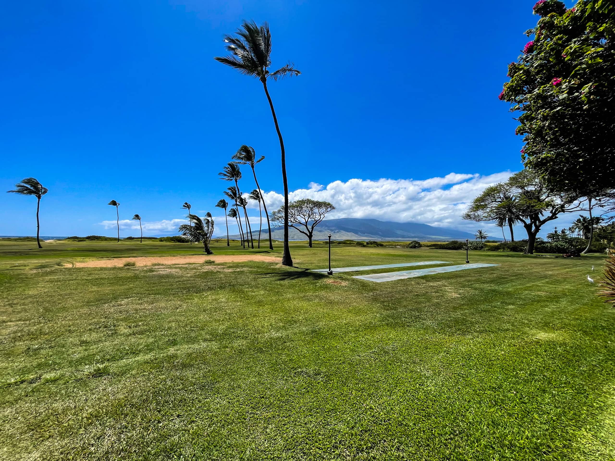 Condo in Kihei · ★4.94 · 1 bedroom · 2 beds · 1 shared bath - Image 20
