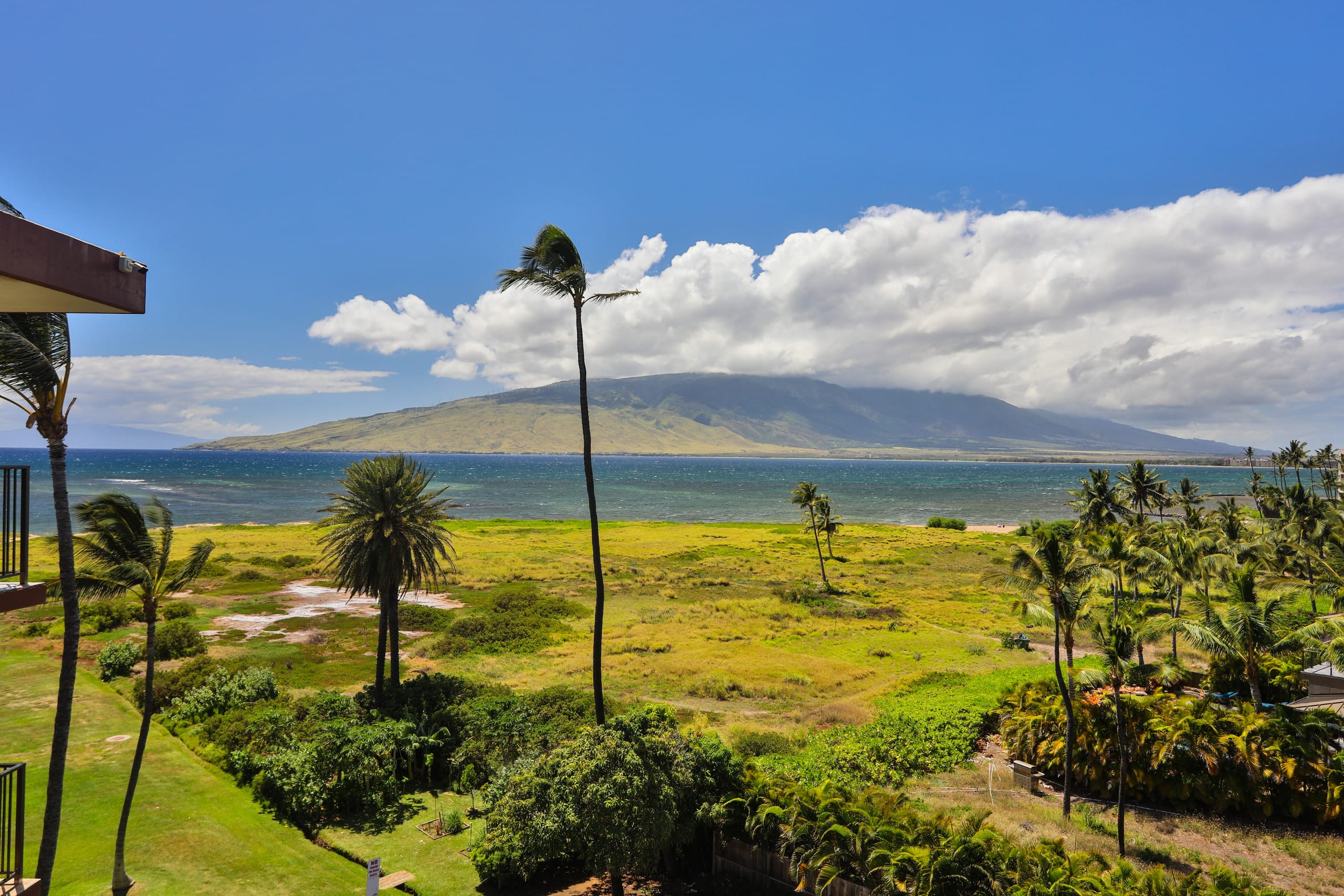 Condo in Kihei · ★4.94 · 1 bedroom · 2 beds · 1 shared bath - Image 31