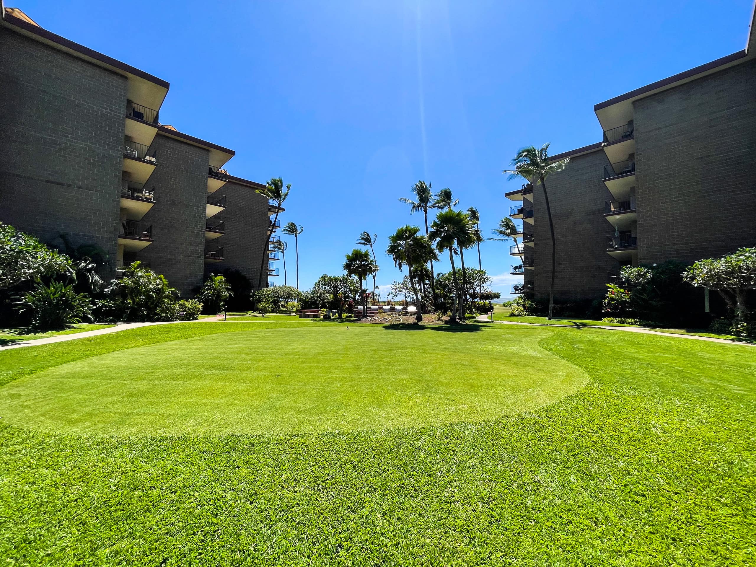 Condo in Kihei · ★4.94 · 1 bedroom · 2 beds · 1 shared bath - Image 17