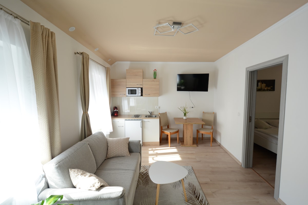 A modern living area features a light-colored sofa positioned near a stylish coffee table. A small dining space with a wooden table and two chairs is visible. Natural light enters through white drapes, illuminating the kitchen area equipped with wood cabinetry and contemporary appliances.