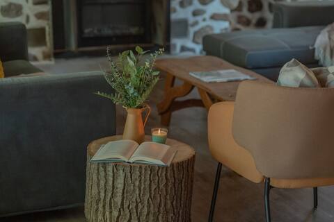 Phoenix - Cozy | River front | Hot tub | Tremblant