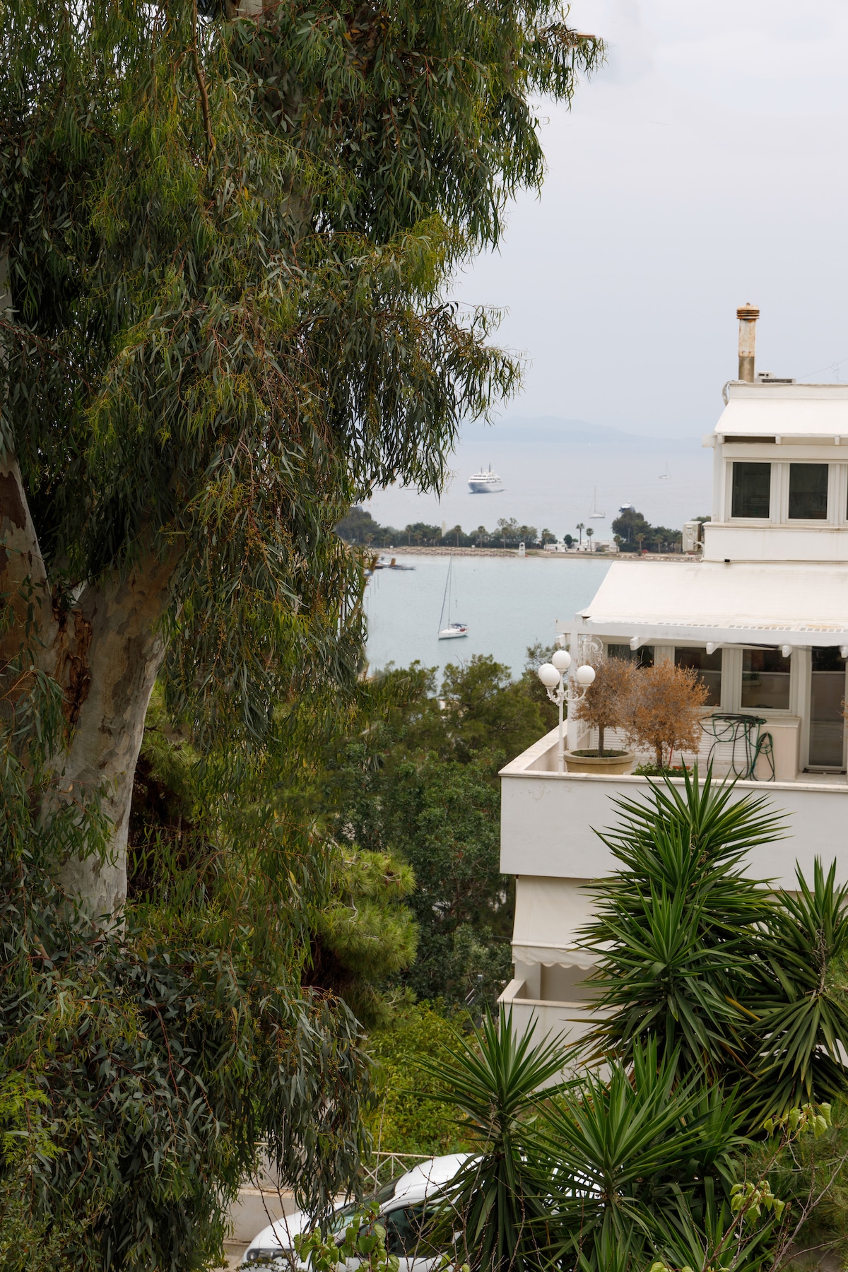 A view of the water is framed by lush greenery, including tall trees and palm-like plants. The serene atmosphere includes distant boats on the water, with a modern building visible in the foreground, blending harmoniously with the natural surroundings.