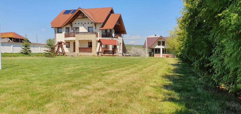 A spacious outdoor area is presented, featuring a well-maintained lawn and a two-story building with a sloped roof. A swingset is visible in the yard, along with a volleyball net stretched across the grassy expanse, bordered by hedges and trees.