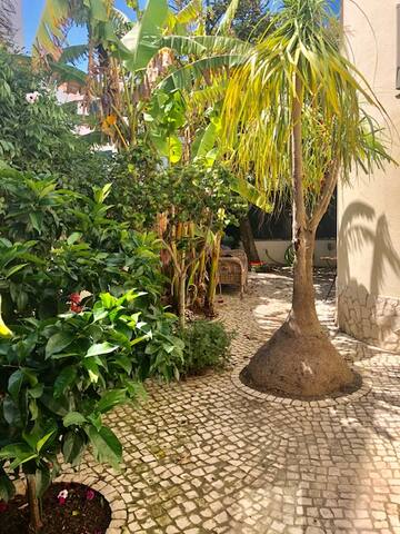 Villa Ávilla. Luxo e Charme. gallery image 4