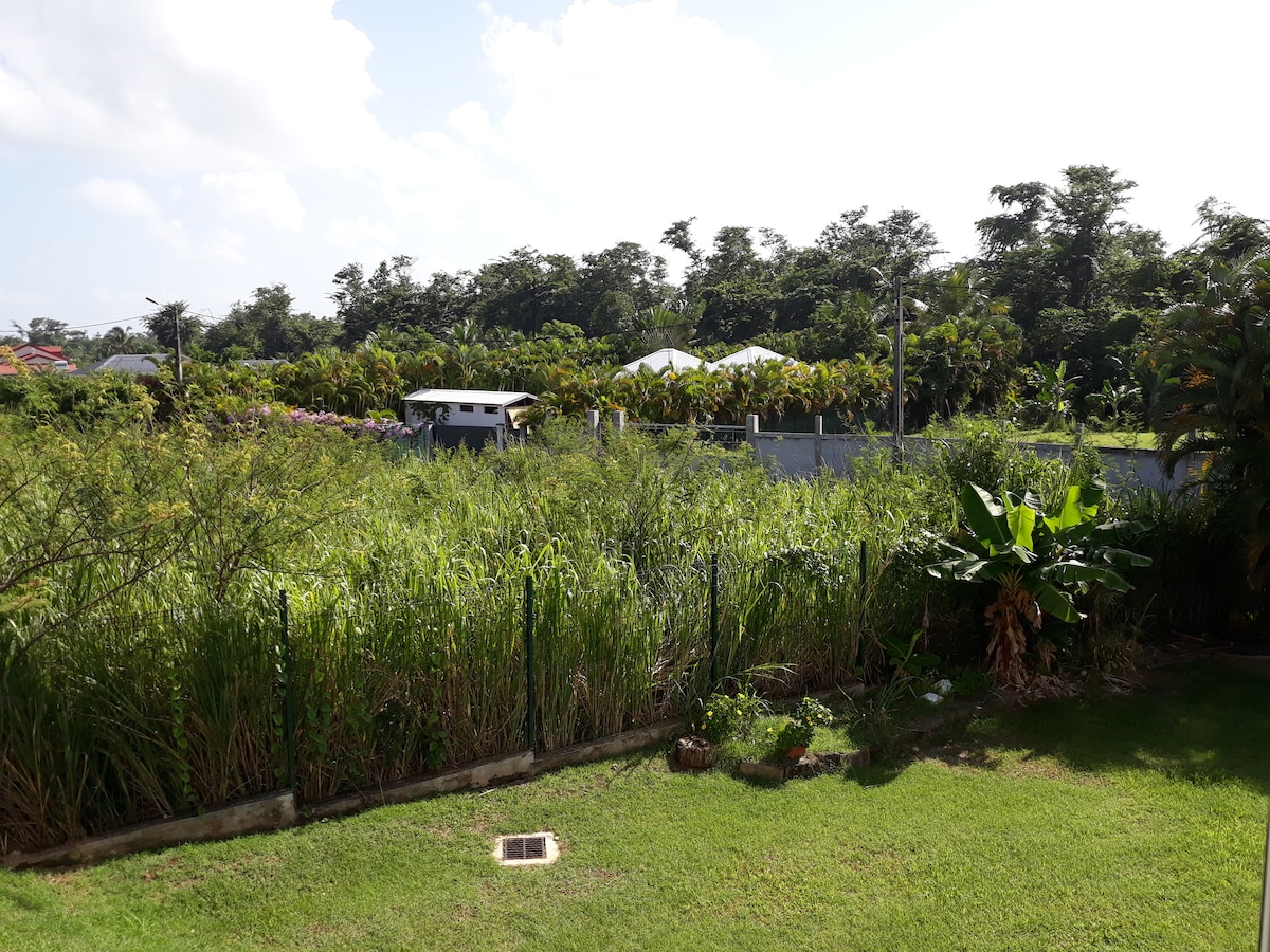 A lush green landscape is visible, featuring tall grasses and various plants. A wooden fence encloses the area, with palm trees and shrubs adding to the natural scenery. The background shows a clear blue sky and distant structures amid the greenery.