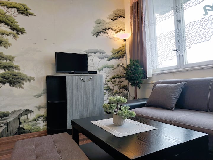 ÚTulný Dvoupokojový Apartmán U Centra. - Bohumín