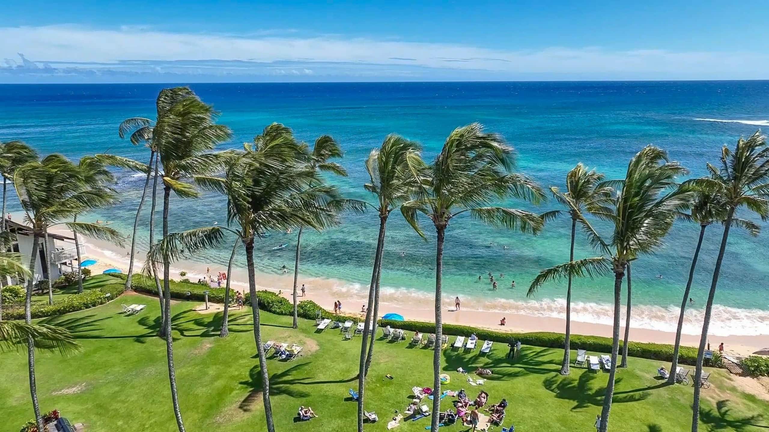 One Bedroom On the World's Most Beautiful Beach - Image 45