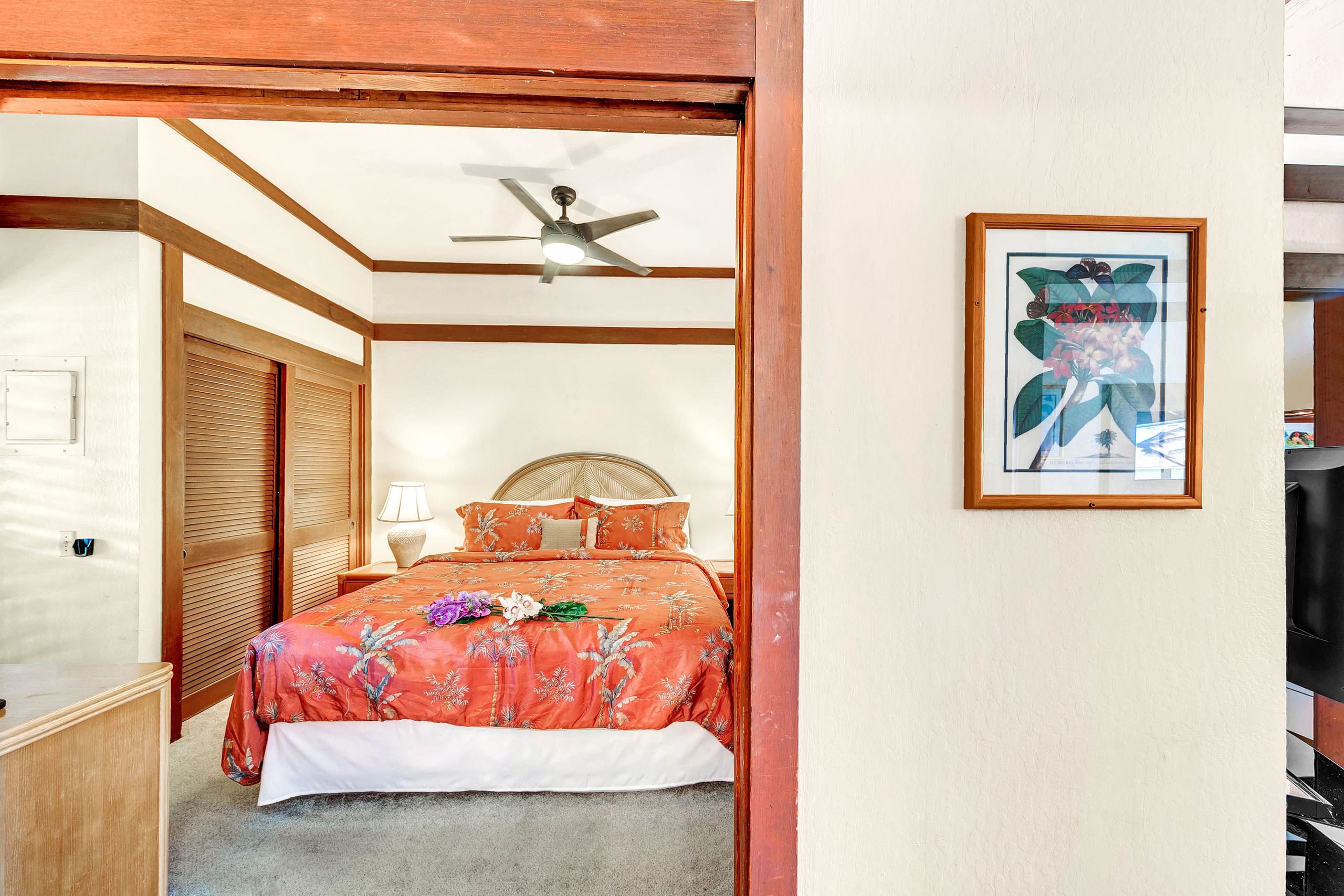 One Bedroom On the World's Most Beautiful Beach - Image 5