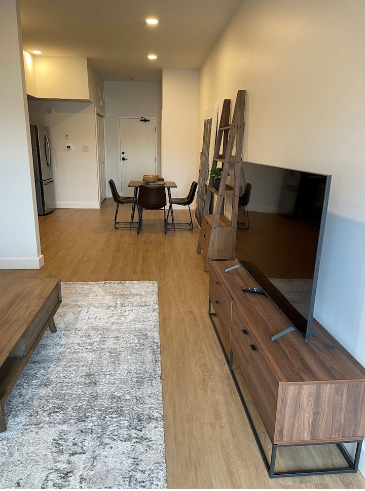 Modern One Bedroom Condo - Brandon