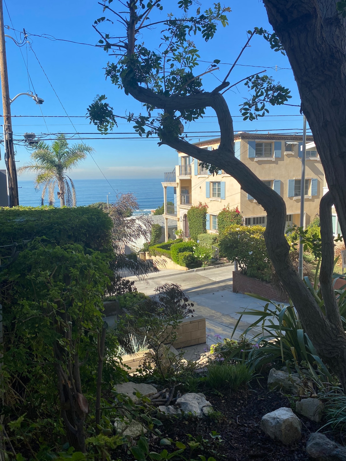 A view of the ocean is framed by lush greenery and a tree, showcasing a coastal street lined with charming homes. The vibrant blue sky contrasts with the soft tones of the buildings and the distant water, creating a serene seaside atmosphere.
