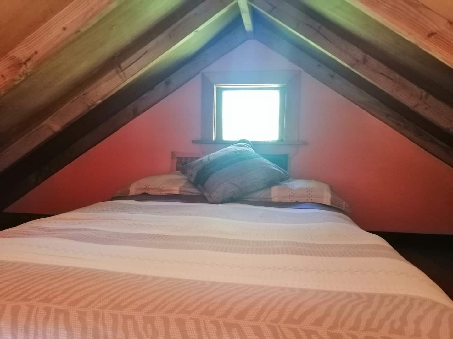 Kanuka Eco-friendly Cottage 5