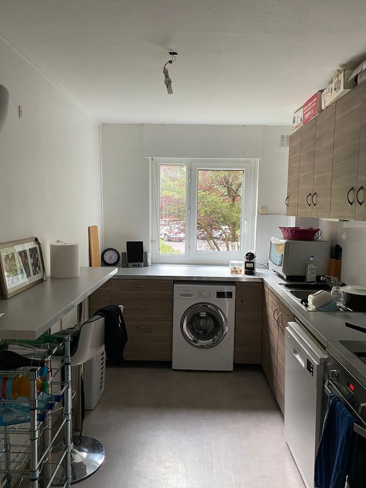 Grand Appartement  A Lyon - Écully