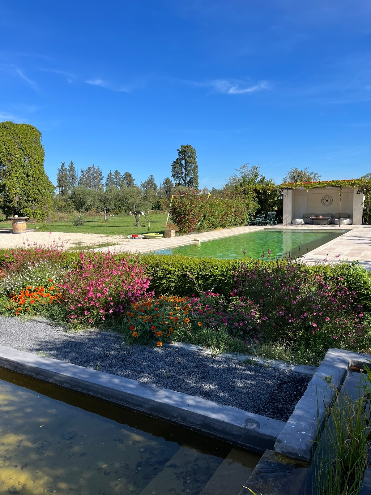 A serene outdoor scene features a sparkling swimming pool surrounded by vibrant flower beds in various shades of purple and orange. Lush greenery fills the landscape, providing a peaceful backdrop against the clear blue sky.