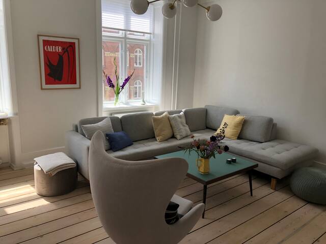 Kgs Nytorv, 225 m2, luxurious, spacious gallery image 4