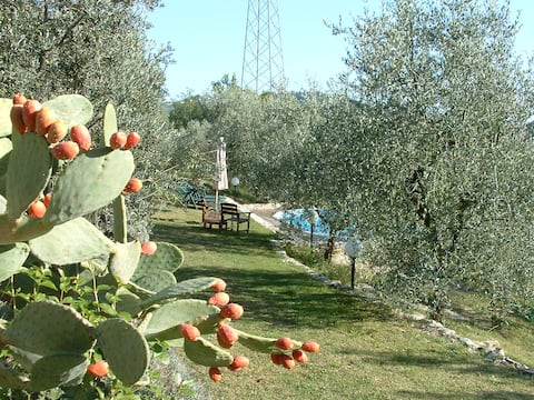 Lo chalet - Tuscan Countryside
