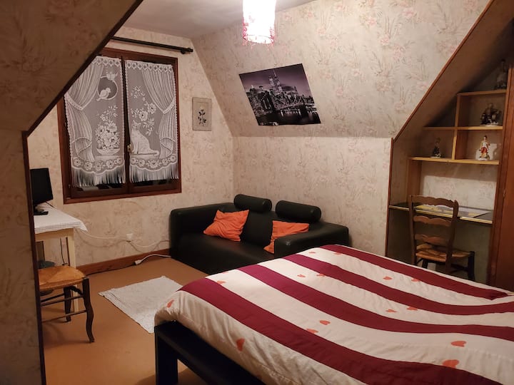 Loue Chambre Bien éQuipée - Selles-sur-Cher