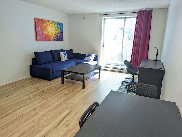 Large 1 Bedroom Queen & 100mb/s - Montreal